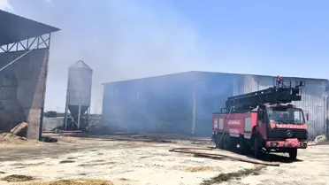 Kırklareli'nde Hayvan Çiftliğinde Yangın