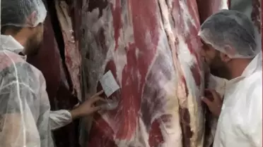 Kırklareli'nde Mezbahalar Denetlendi