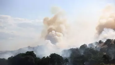 Kofçaz'da Orman Yangını