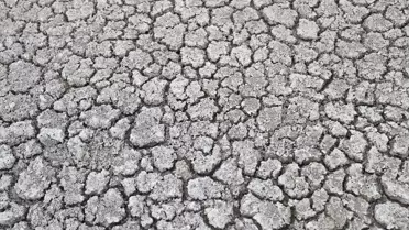 Oruçlu Göleti Kuruma Tehdidi Altında