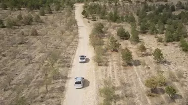 Orman Koruma Denetimleri