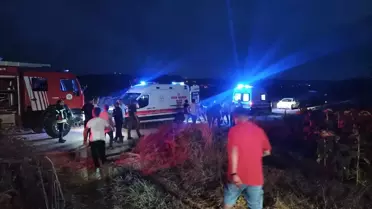 Ağaç Devrildi, Yaşamını Yitirdi