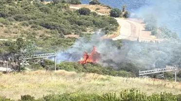 Gebze'de Makilikte Yangın Kontrol Altına Alındı