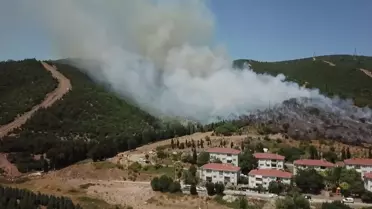 Körfez'de Yangın Çıktı