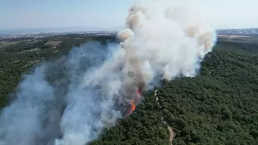 Gebze'deki Orman Yangını Kontrol Altına Alındı