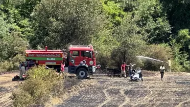 Körfez'de Tarım Arazisinde Yangın