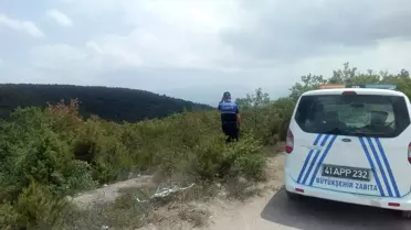 Kocaeli'de Orman Yangınına Karşı Denetimler Artırıldı
