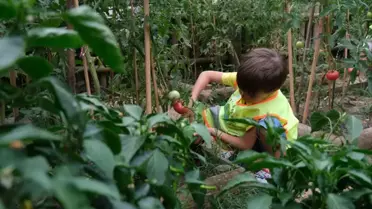 Gonca Engelsiz Yaşam Merkezi Açıldı