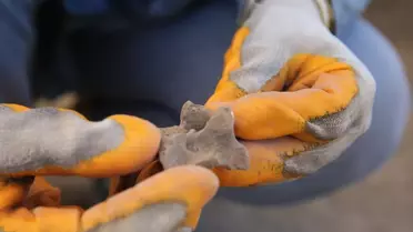 Komana Antik Kenti'nde Kazılar Devam Ediyor