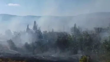Hüyük'te Arazi Yangını Kontrole Alındı