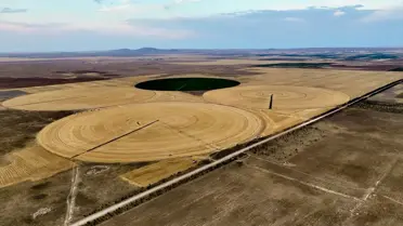 TİGEM'de Hasat Sezonu Tamamlandı