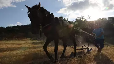 Görmeyen Gözüyle Tarım Yapıyor