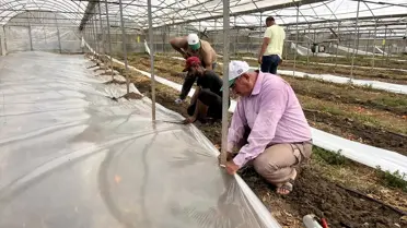 Kumluca'da Sera Temizlik Çalışmaları Başladı