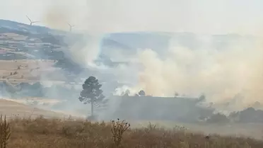 Dumlupınar'da Orman Yangını Kontrol Altında