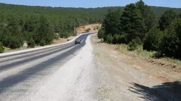 Kütahya'da Orman Yangınlarıyla Mücadelede Başarı