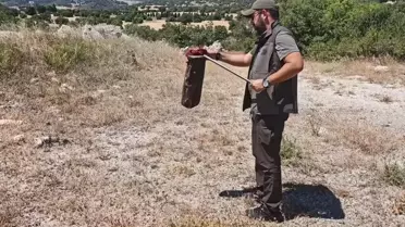 Restoranın tuvaletinde yılan bulundu
