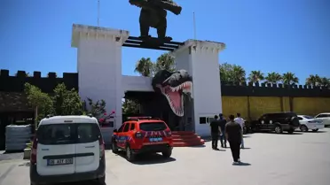 Hayvan parkından kaçan aslanın kafesten çıktığı anlar güvenlik kamerasında