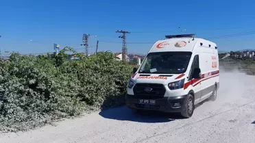 Aslan Yaraladı, Hayvanat Bahçesi Mühürlendi