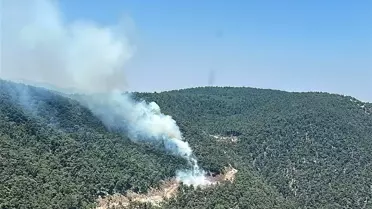 Manisa'da Orman Yangınına Müdahale