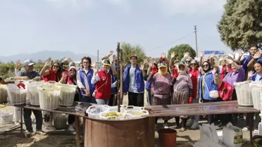 Gönüllü Gençler Üzüm Hasadında