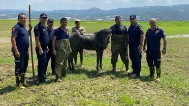 Bataklığa Saplanan Adam Kurtarıldı