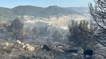 Manisa'da Yangın Yeniden Başladı