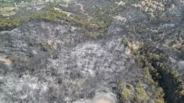 Manisa'daki Orman Yangınları Hava Görüntüleriyle Döküldü