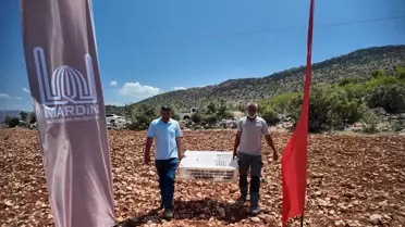 Mardin'de 300 Kınalı Keklik Doğaya Salındı