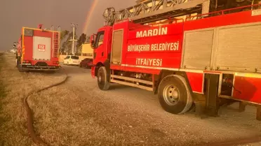Kızıltepe'de Yangın: 350 Dönüm Buğday Zarar Gördü