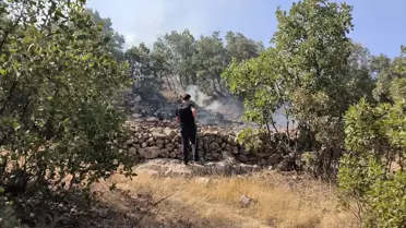 Mardin'de Orman Yangını Kontrol Altına Alındı