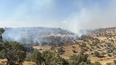 Nusaybin'de Orman Yangınına Müdahele