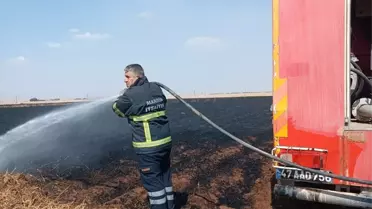 Derik'te Buğday Alanında Yangın