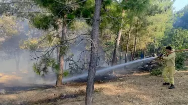 Mersin'de Orman Yangını Kontrol Altına Alındı
