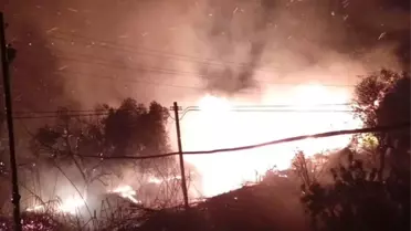Silifke'de Ağaçlık Alanda Yangın Kontrol Altına Alındı