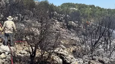 Silifke'de Ağaçlık Alanda Yangın