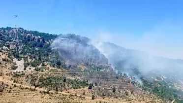 Mersin Bozyazı'da Orman Yangını