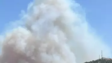 Silifke'de Orman Yangınına Müdahale