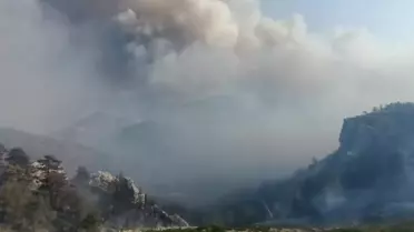 Silifke'de Orman Yangını: Müdahale Sürüyor