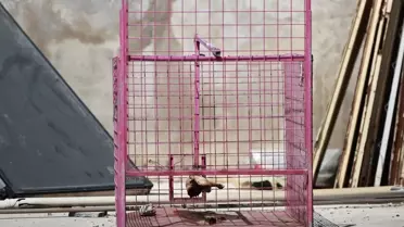 Tarsus'ta Maymun Kafese Alıştırılıyor