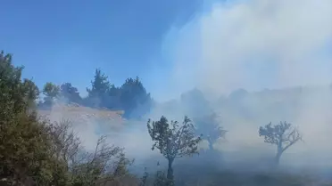 Silifke'de Tarım Arazisinde Yangın