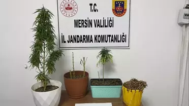Mersin'de Uyuşturucu Operasyonu: 8 Gözaltı