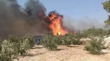 Silifke'de Orman Yangınına Müdahale