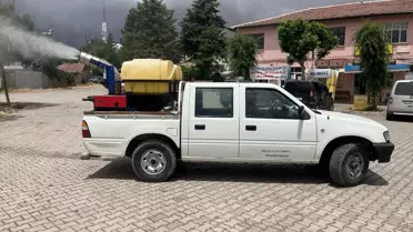 Merzifon'da Haşere İlaçlama Devam Ediyor