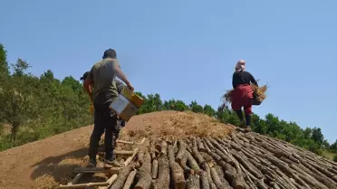 Muş'ta Mangal Kömürü Üreten İşçiler