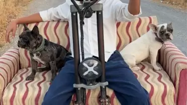 Koltuklu Skuterle Köpek Yolculuğu
