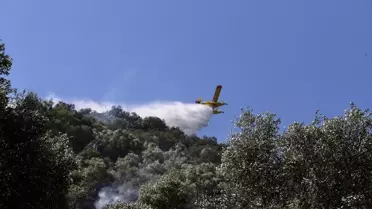 Ortaca'da Orman Yangını Kontrol Altında