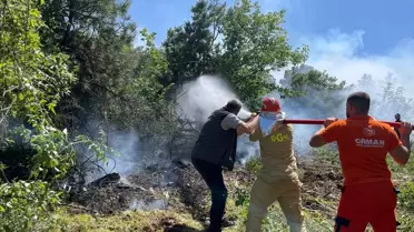 Köyceğiz'de Orman Yangını Kontrol Altında