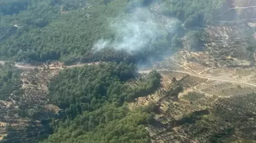 Fethiye'de Orman Yangını Çıktı