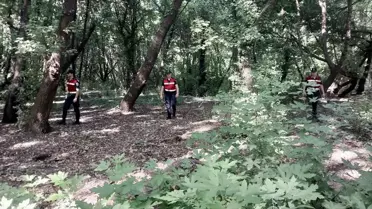 Sığla Ormanında Yangın Önleme Nöbeti