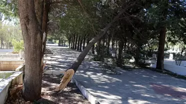 Menteşe'de Kuvvetli Rüzgar Zarar Verdi